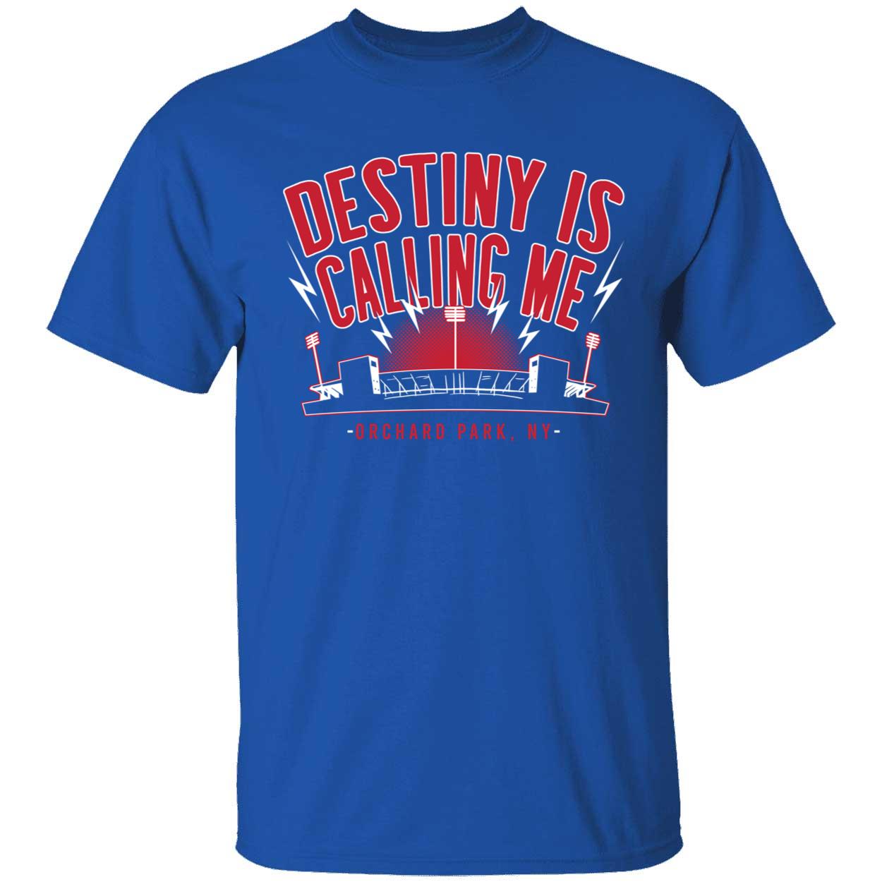 Buffalo Football Destiny Is Calling Me Shirt 1 1.jpg