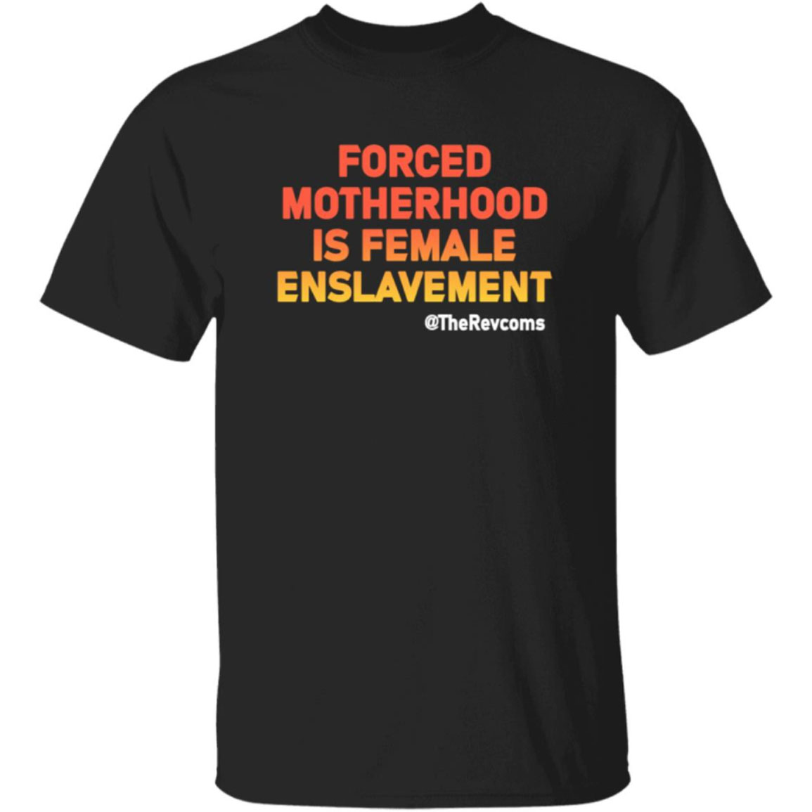 Forced Motherhood Is Female Enslavement Shirt
