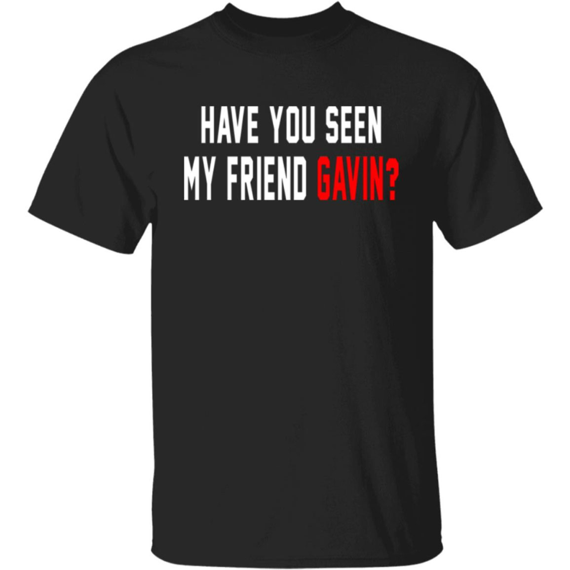Have You Seen My Friend Gavin Shirt