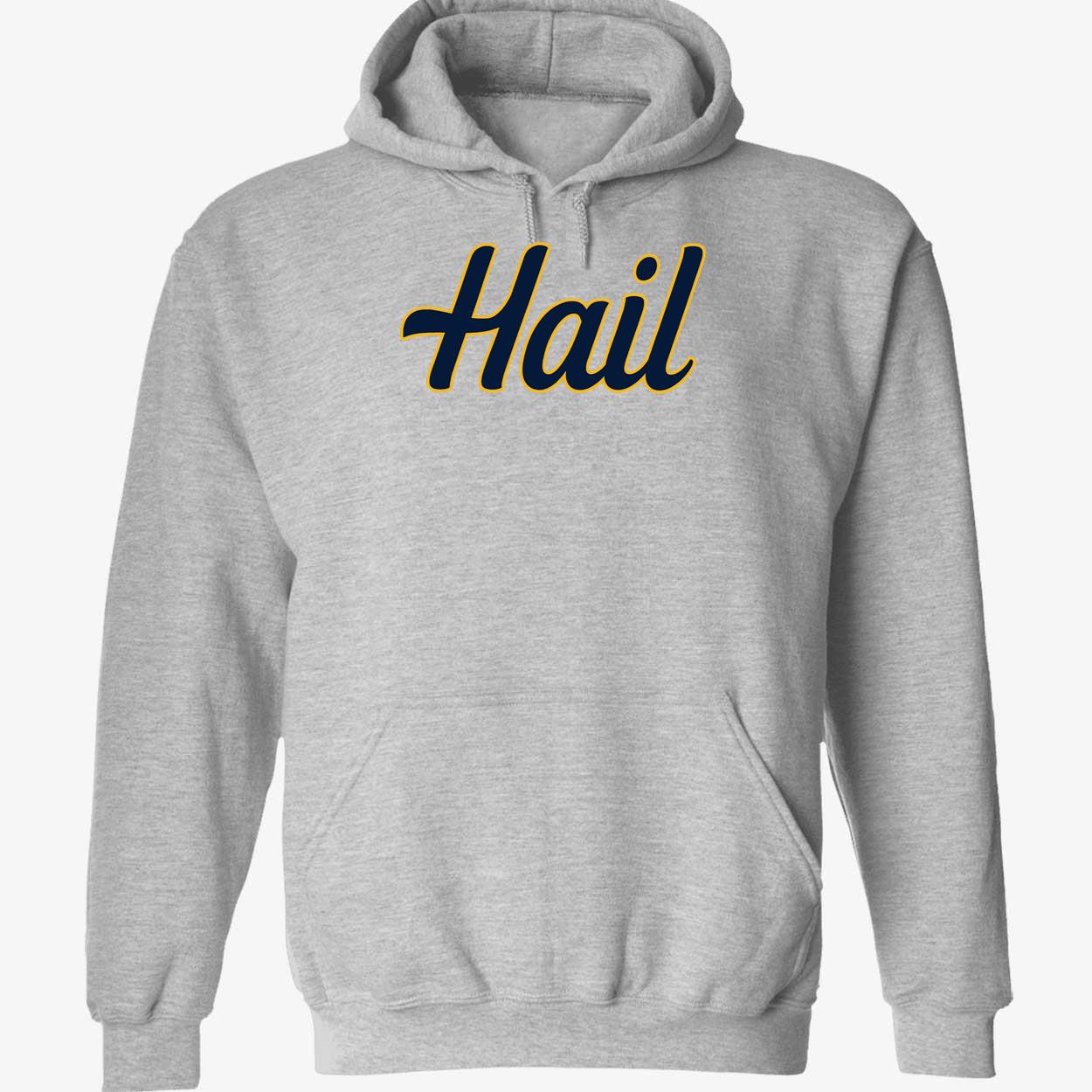 Michigan Hail 2 1.jpg