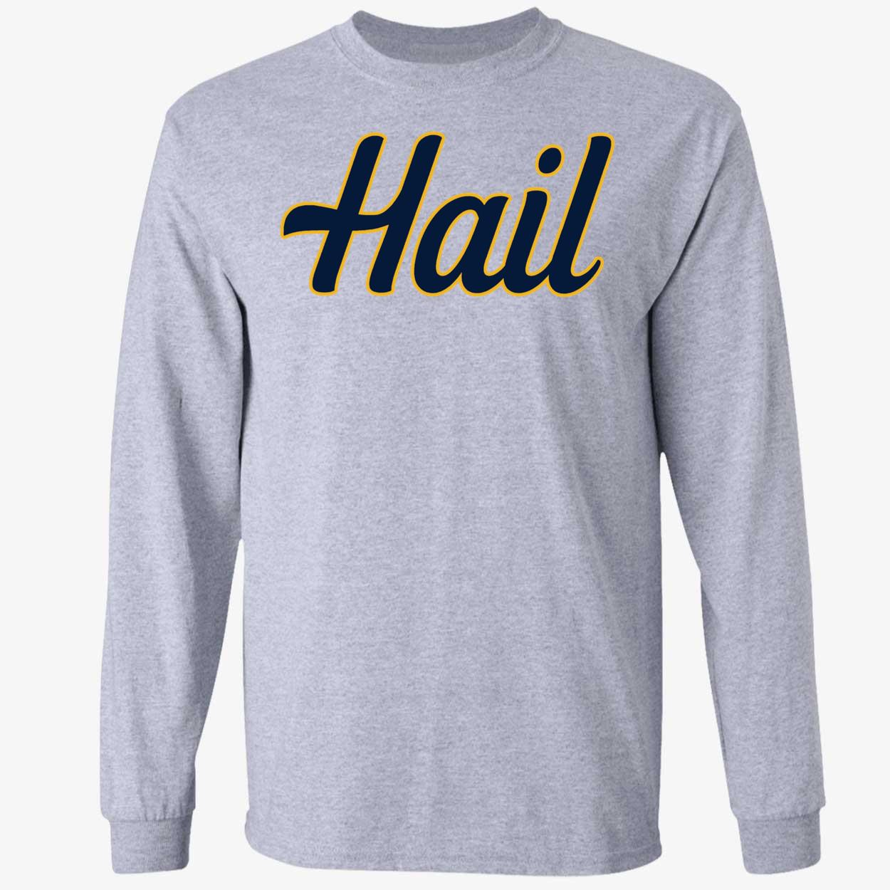 Michigan Hail 4 1.jpg