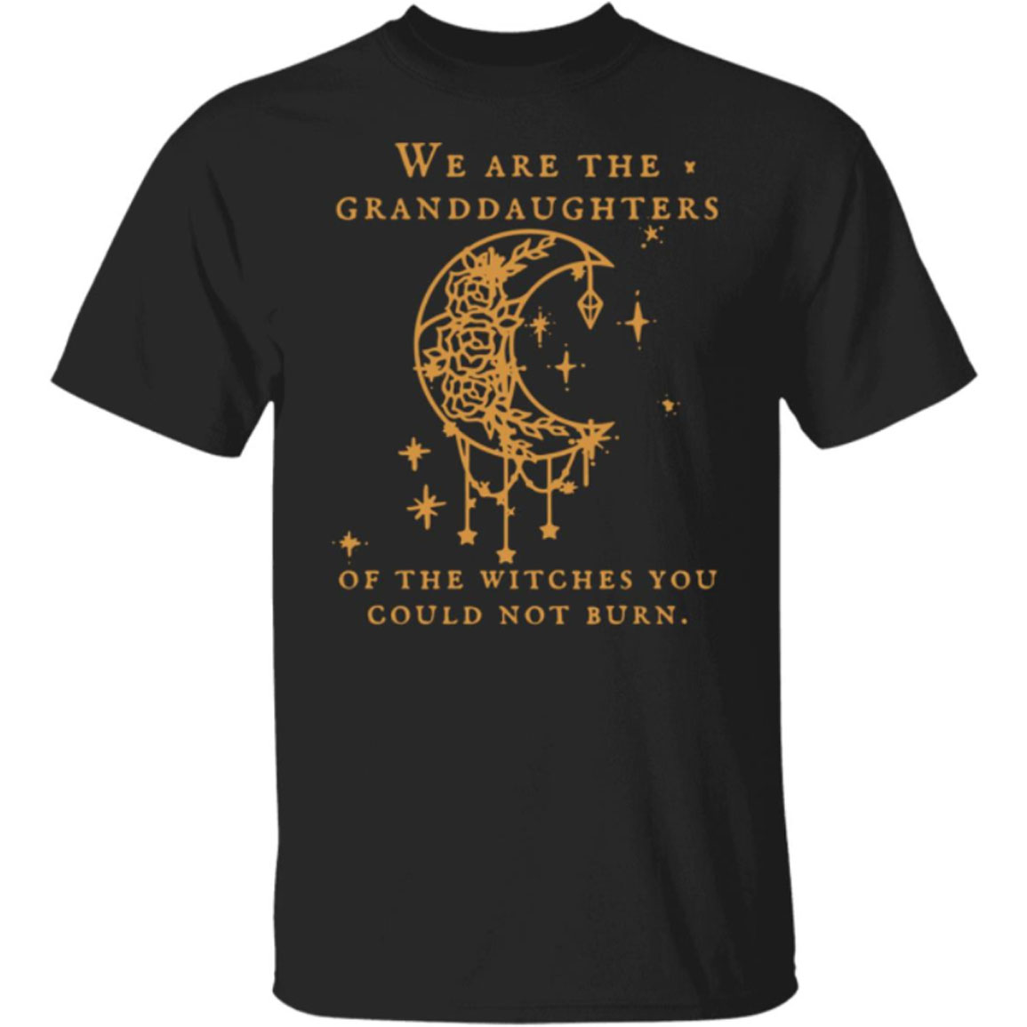 We Are The Granddaughters Of The Witches You Could Not Burn Salem Witch Shirt